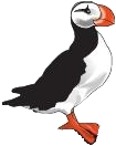 Fichier:Pc-macareux.png