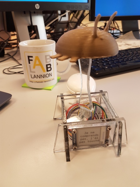 Fichier:BugTrophy 1.jpg