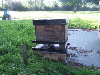 DSCF1946.jpg