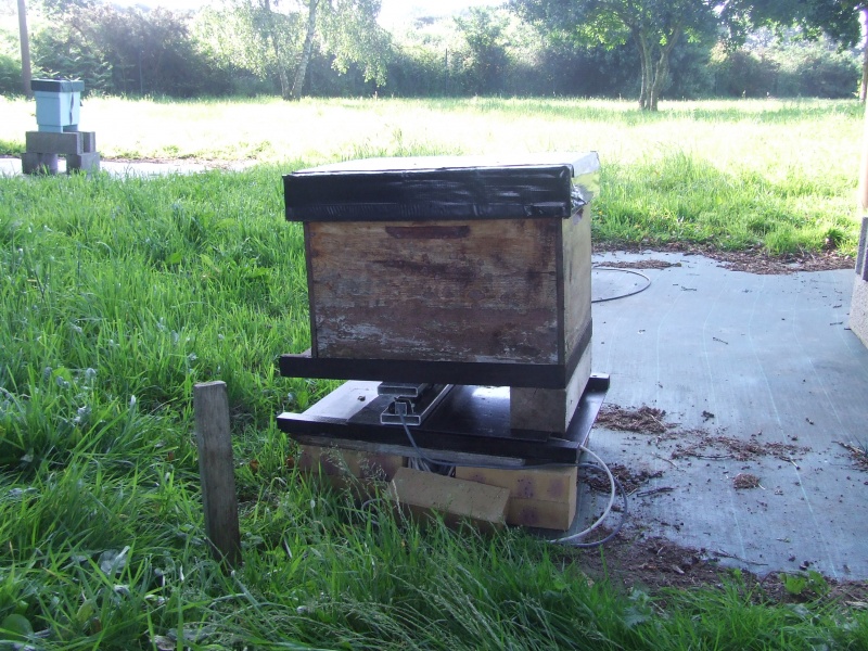 Fichier:DSCF1946.jpg