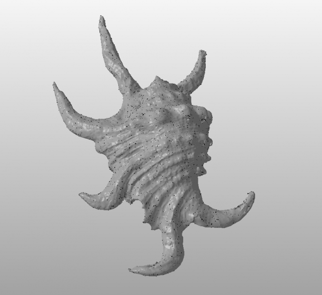 Fichier:Coquillage.png