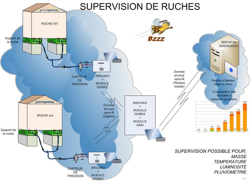 Schématisation du fonctionnement du projet Bzzz
