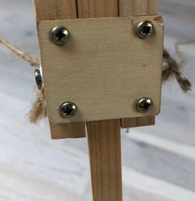 PiedDetail2.JPG
