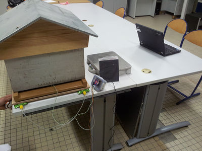 20130704 004325 l.jpg