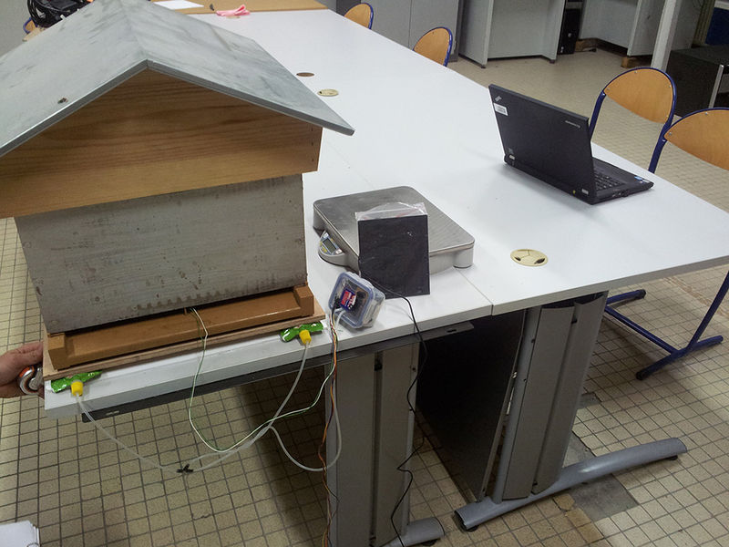 Fichier:20130704 004325 l.jpg