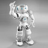 220px-NAO-Robot.jpg
