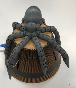 Projet Poulpe1.JPG