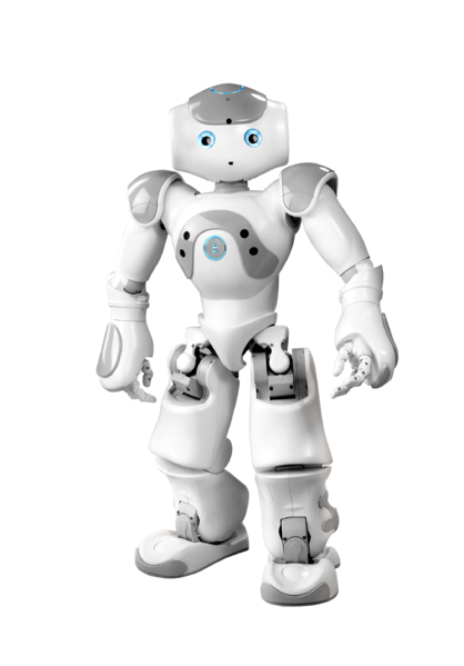 Fichier:NAO-4 stand.png