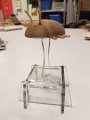 BugTrophy