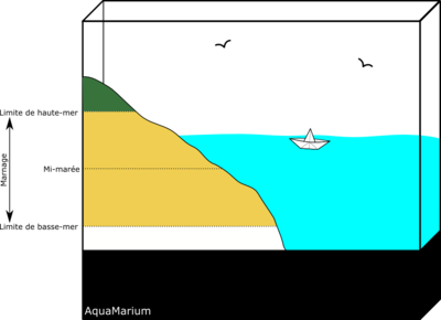 Aquarium dessin.png